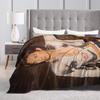 Hudson Williams Blanket Flannel All Season   Multifunction Super Warm Throw Blankets for Bed Couch Rug Piece
