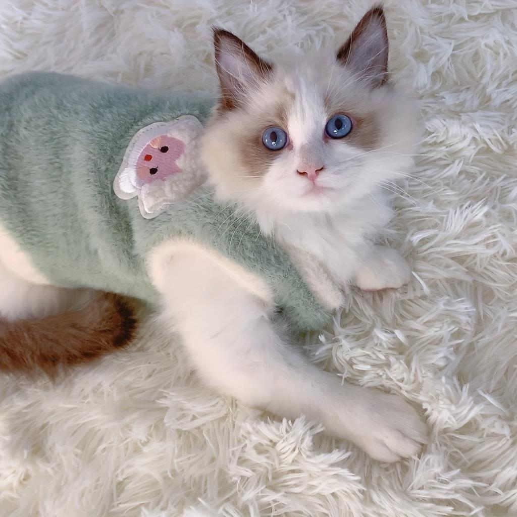 Adorable Autumn And Winter Cat Warm Thick Vest, To Prevent Shedding Christmas Gift