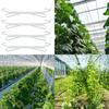 Greenhouse Vine Support Hooks 10 Pack with 10m Nylon Rope for Tomato Cucumber Bean Melon Plant Hanging and Securing