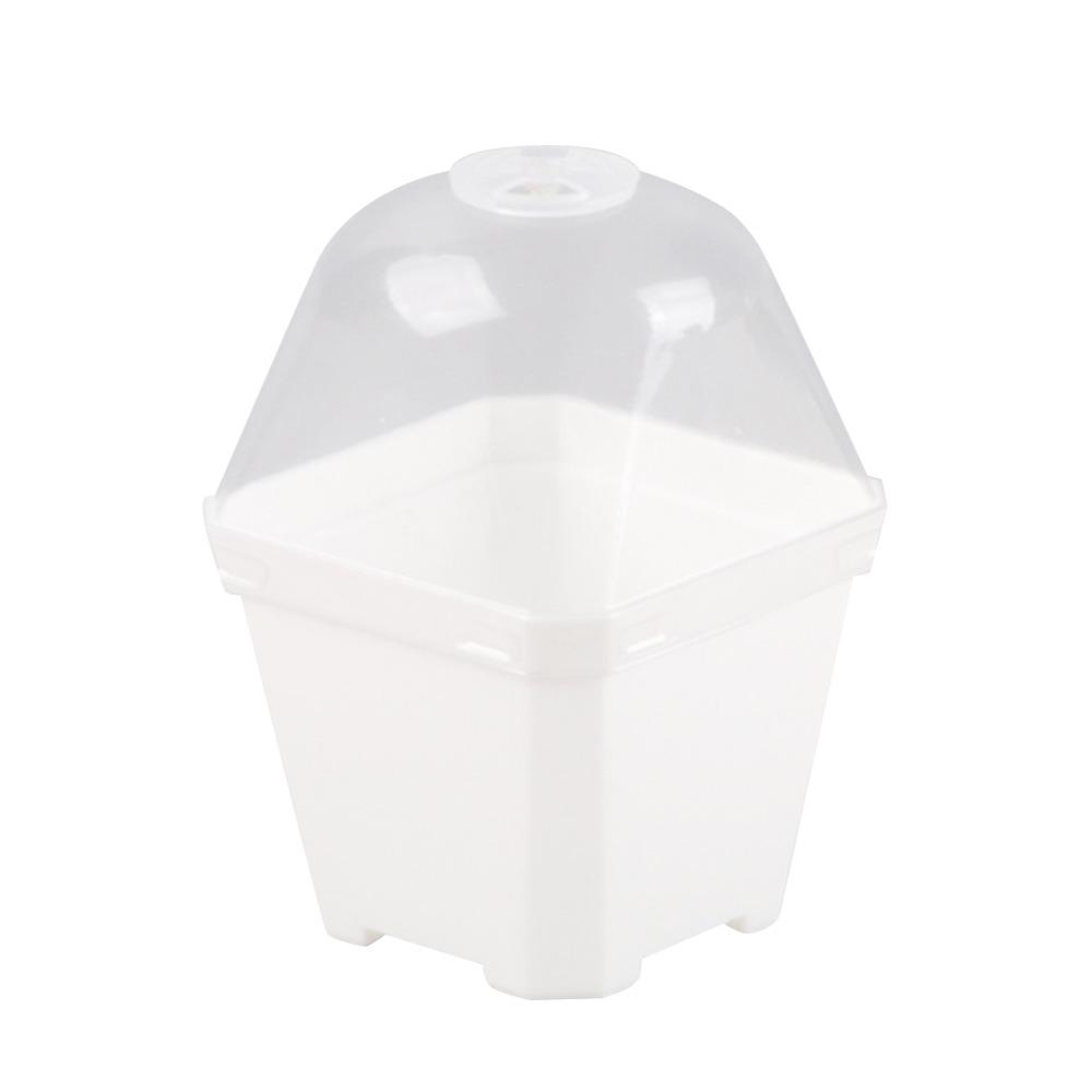 5 шт. Видимый чехол для рассады растений, горшок для выращивания растений в горшке с куполом и защитой от влаги, крытый сад