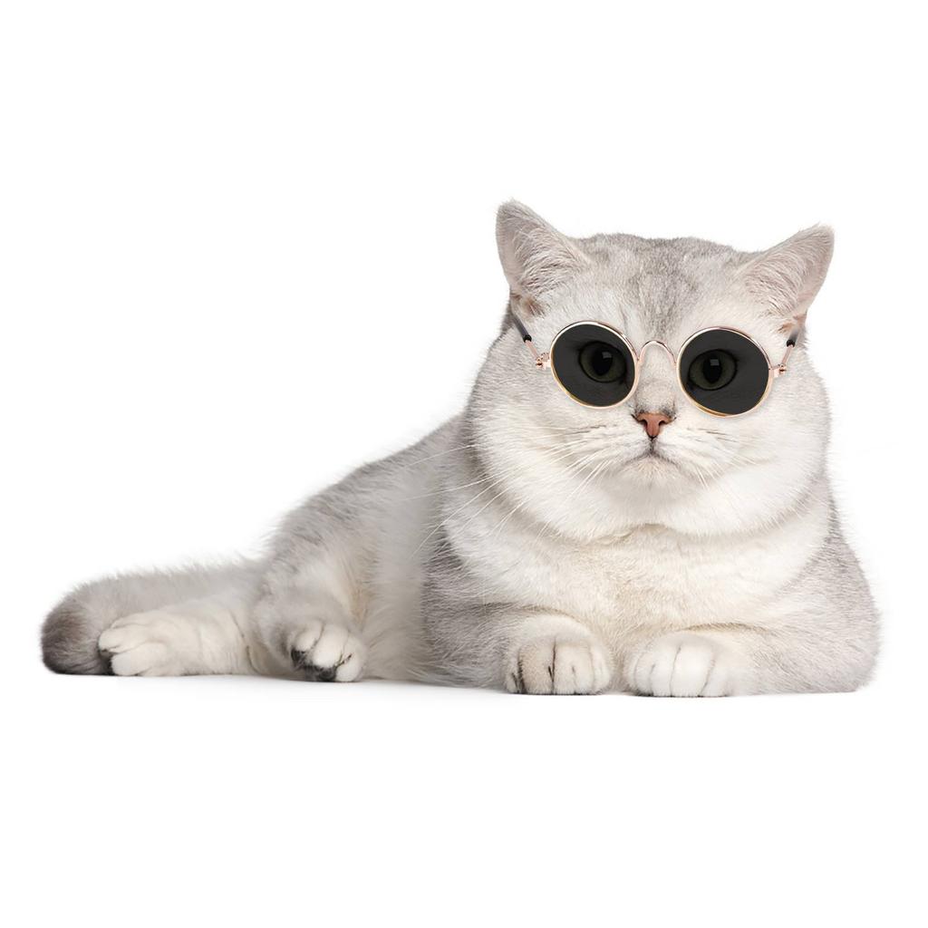 Модная Собака, Кошки, Очки Для Домашних Животных, Творческий Тенденция, Фотосъемка, Круглая Оправа, Маленькая Игрушечная Кукла в Солнечных Очках