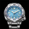 Citizen Мужская BN0165-55L ( Смотреть PROMASTER MARINE серии Eco-Drive Diver200m) Круглые часы, серебро