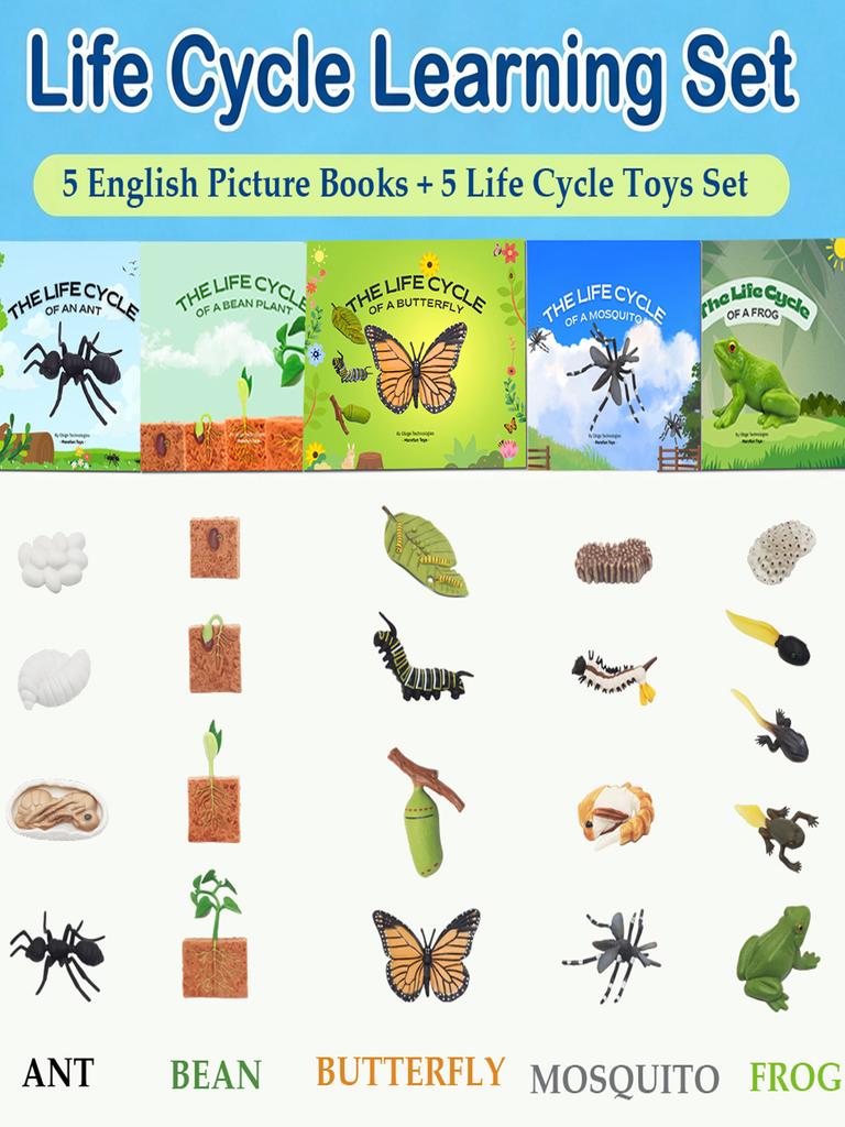 Montessori Kids English Learning Set Animals Life Cycle Toy Set With 5 English Books – Ant, Frog, Butterfly, Mosquito & Bean