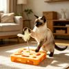 Interactive Puzzle Toy for Cats Puzzle Box with Jingle Balls Spring Feather Wand Cat Enrichment Toy for Indoor Cats Mental Stimulation And