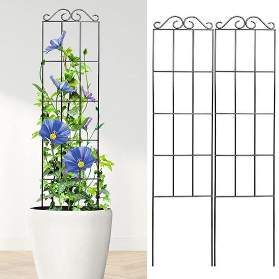 2 шт. стойка для скалолазания, простая в установке подставка для поддержки растений, многоразовая металлическая садовая решетка для дома, на открытом воздухе