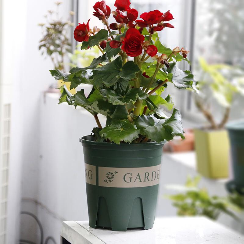 Breathable Root Control Flower Pot