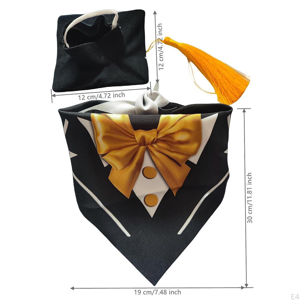 Комплект из 2 предметов: гусиная шляпа и нагрудник, костюм статуи для дня рождения