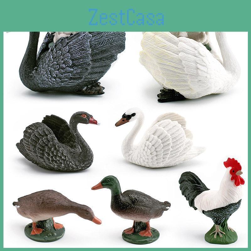 Realistic Figures Animal Model With Ducks Rooster Swans For Decorative Display