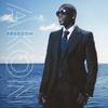 CD AKON, WYCLEF JEAN, BOA, COLBY O'DON - Freedom +2  UICY20371 US Поп Б/У