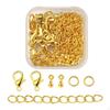 80 Pieces Jewelry Making DIY Accessories Removable with 20x Lobster Clasp Extender Chains