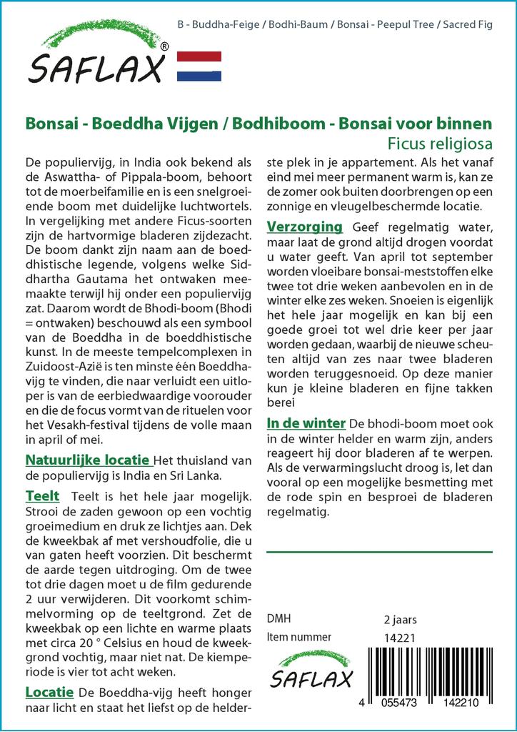 SAFLAX Garden in the Bag - Бонсай - Дерево Пипул / Священный инжир - 100 семян - С субстратом в подходящем пакете - Ficus religiosa