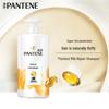 Pantene Dry Hair Repair Shampoo