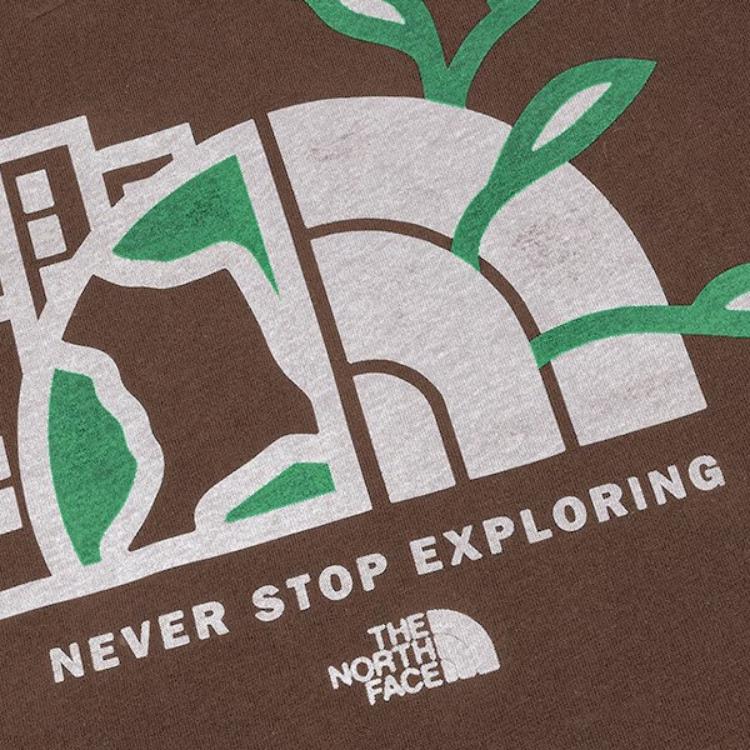 THE NORTH FACE SS25 T Shirt Unisex Brown NF0A8DEU