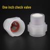 1-дюймовый обратный клапан для скважинного насоса - Популярный аксессуар