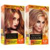 "PERMANENT COLOR" Professional Hair Coloring 24 Types of Shades Your Hair Care 3D Touch