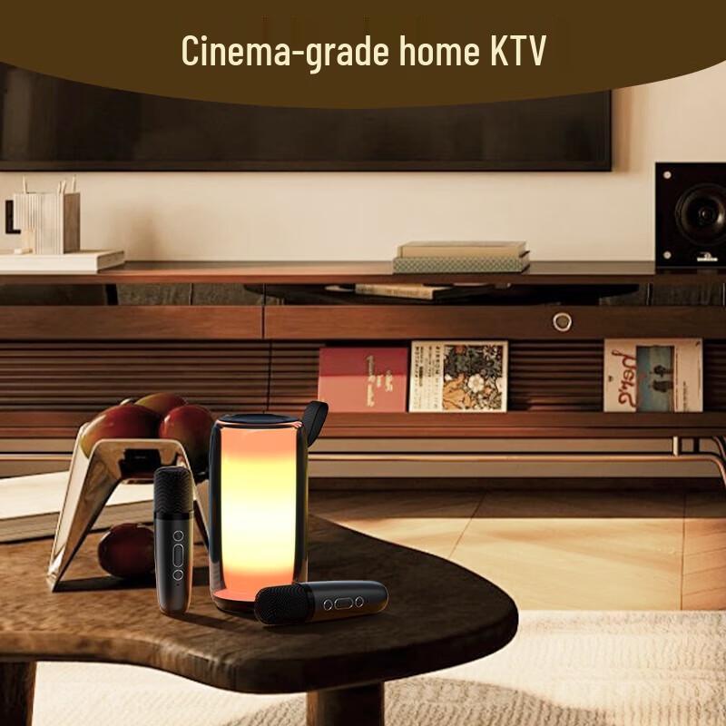 NEWMINE MC96 Wireless Karaoke Bluetooth Speaker