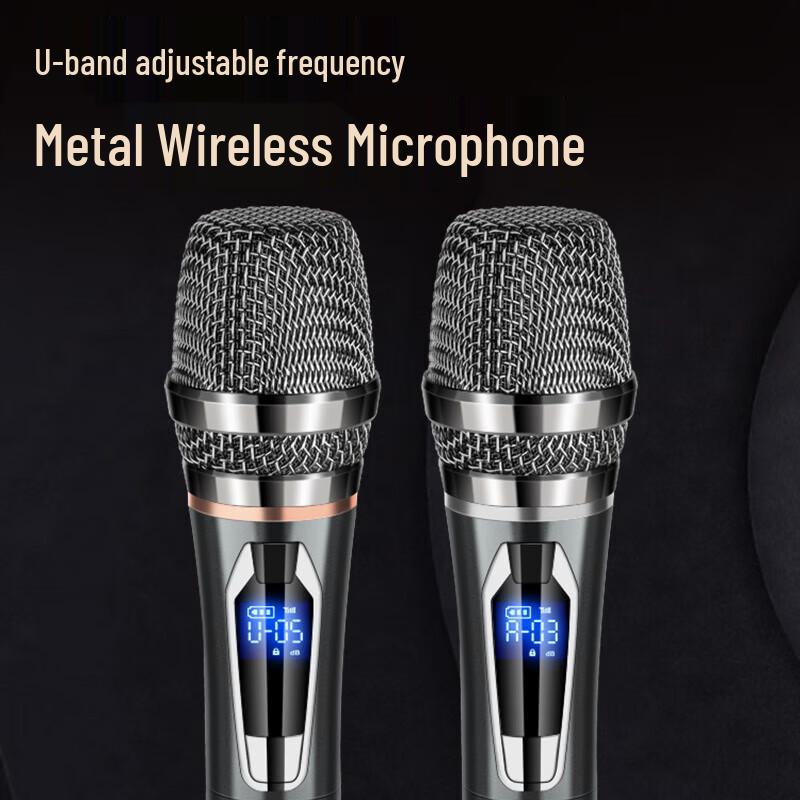 Shanshui L10 Portable Karaoke Speaker