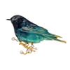 New Arrival Enamel Bird Brooch Pins Fashion Cute Rhinestone Animal Brooches Unisex Women Men Jewelry Colorful Gift