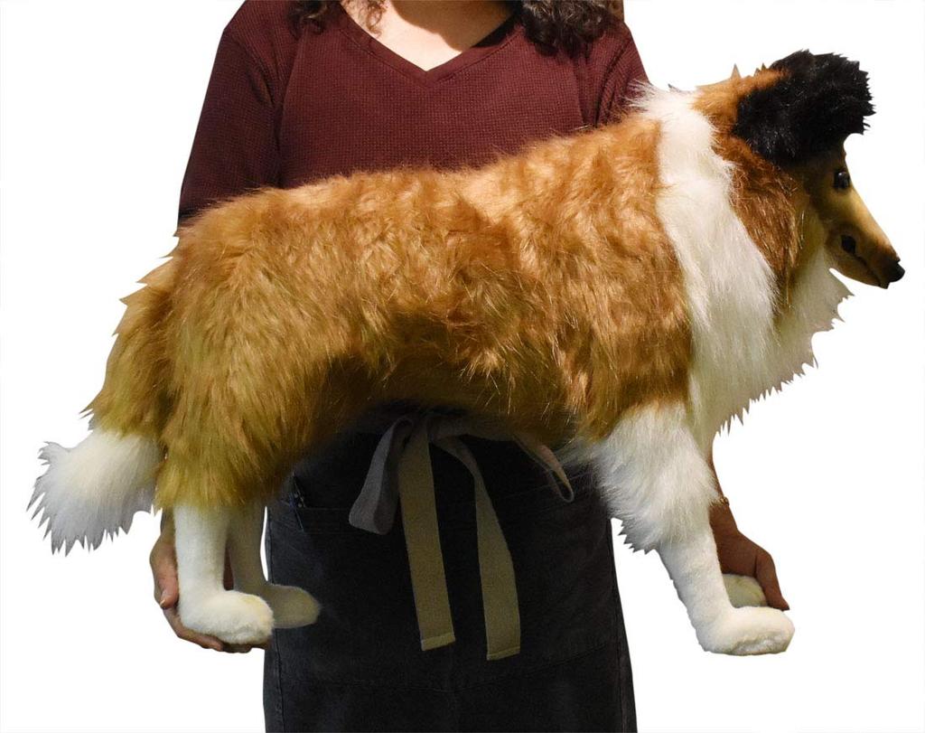 BH4219 HANSA Shetland Sheepdog 40