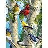 5D DIY Алмазная картина Птицы Вышивка Ручная вышивка крестом Мозаика Ремесла Домашний декор