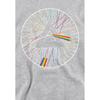 Pink Floyd Childrens/Kids Spokes Heather Hoodie