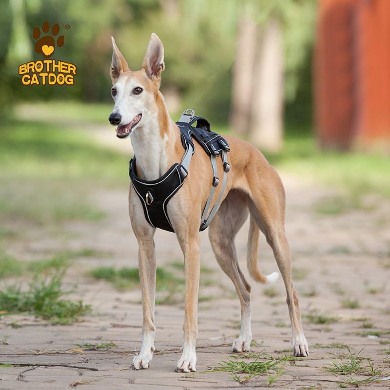 Reflective Breathable Dog Harness Vest Anti-Escape Chest Strap Small Medium Large Dogs
