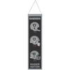 NFL Teams EVOLUTION Wool Banner 80x20cm