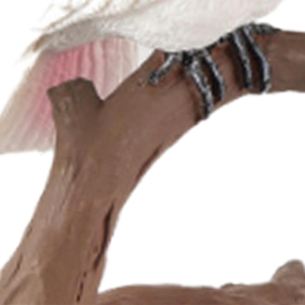 Bird Figurine Parrot Model for Kids Gifts Home Decor