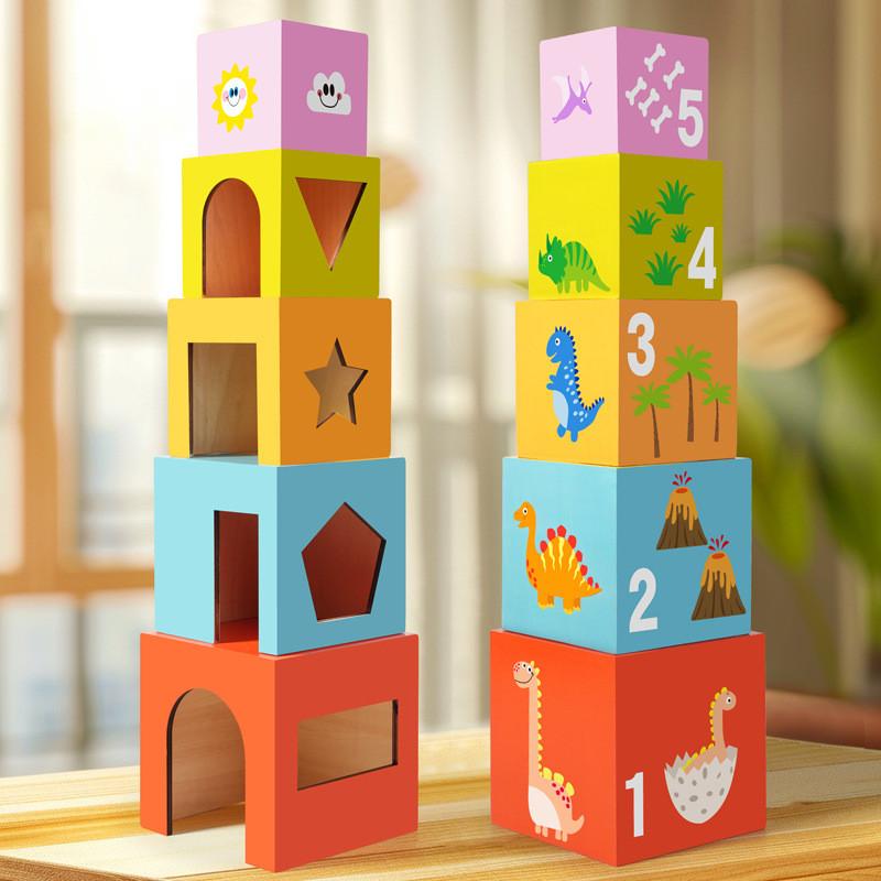 Educational Wooden Stacking Toy For Kids With Shape Sorting Development Brain