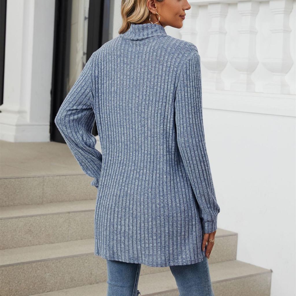 HNXC Женская мода, повседневный однотонный принт, осень-зима, свободные свитера с длинным рукавом и высоким воротом