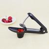 Corer Efficient Press Design One-Handed Cherry Pitter Tool Safely Remove Pits for Delicious Cherry Recipes