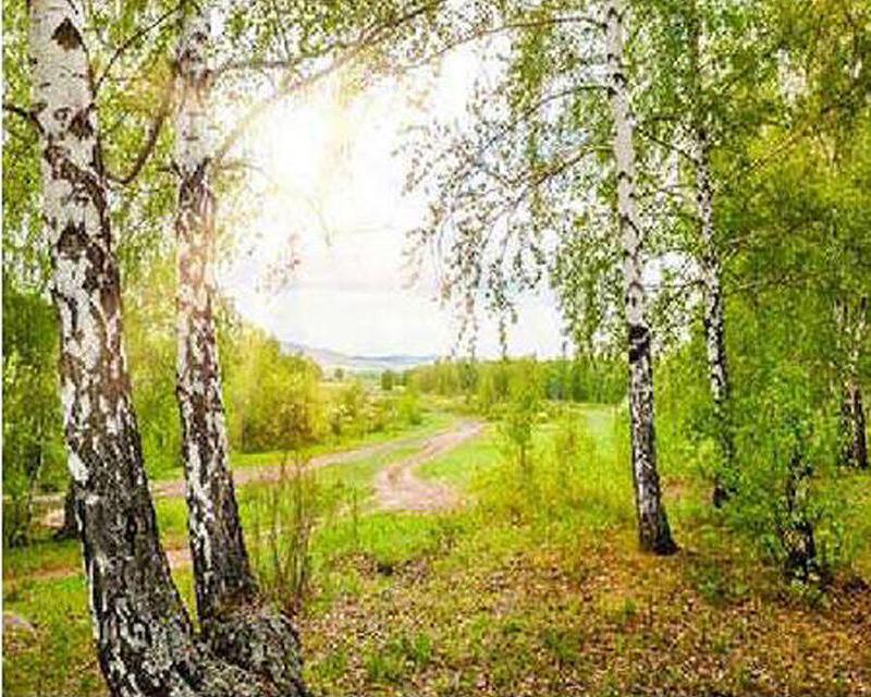 5D DIY Круглая/квадратная алмазная живопись Носорог животное Алмазная вышивка Набор для вышивки крестом Кошка Мозаичная картина Алмазное украшение подарок