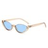Fashion New Y2K Classic Cat Eye Lower Frame Sunglasses Women Retro Sun Glasses INS Eyeglasses Men Unisex