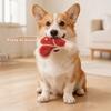 Squeaky Dog Toys for Small and Medium Dogs Plush Bite-Resistant Chew Toy with Sound Interactive Pet Toys for Teeth Cleaning and Boredom Relief
