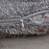 Soft Waist Home Decor Fur Plush Throw Pillow Cases Winter Warm Cushion Cover