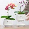 Moisturizing Meshpot Orchid Pot Thickening Root Control Flowerpot Growing Pots  Bonsai Planting