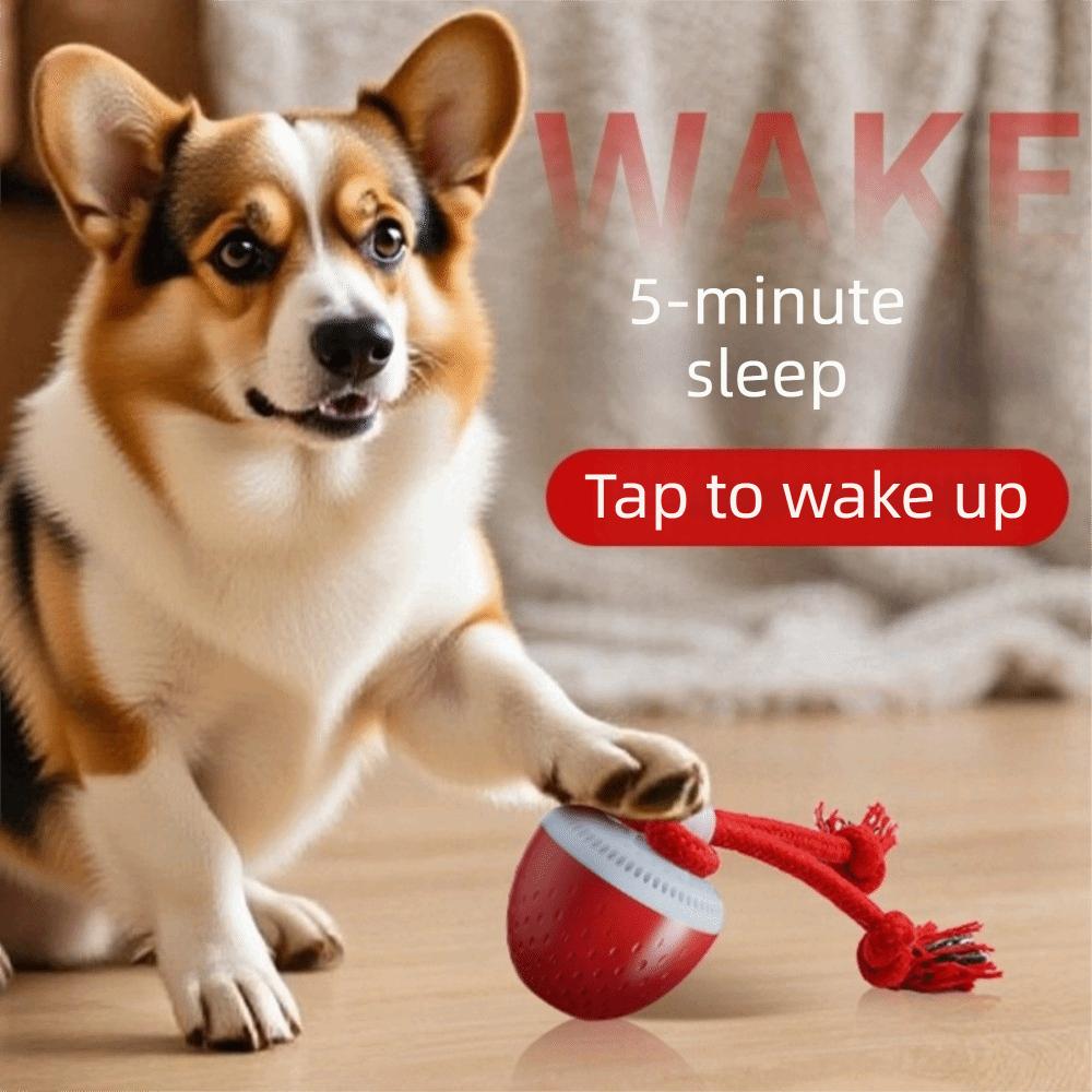 Bite Resistant Smart Pet Toy Ball USB Charging Random Path Automatic Moving Ball Electronic 3 Modes Interactive Dog Toy Ball