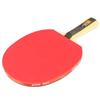 DHS 1-Star Table Tennis Racket
