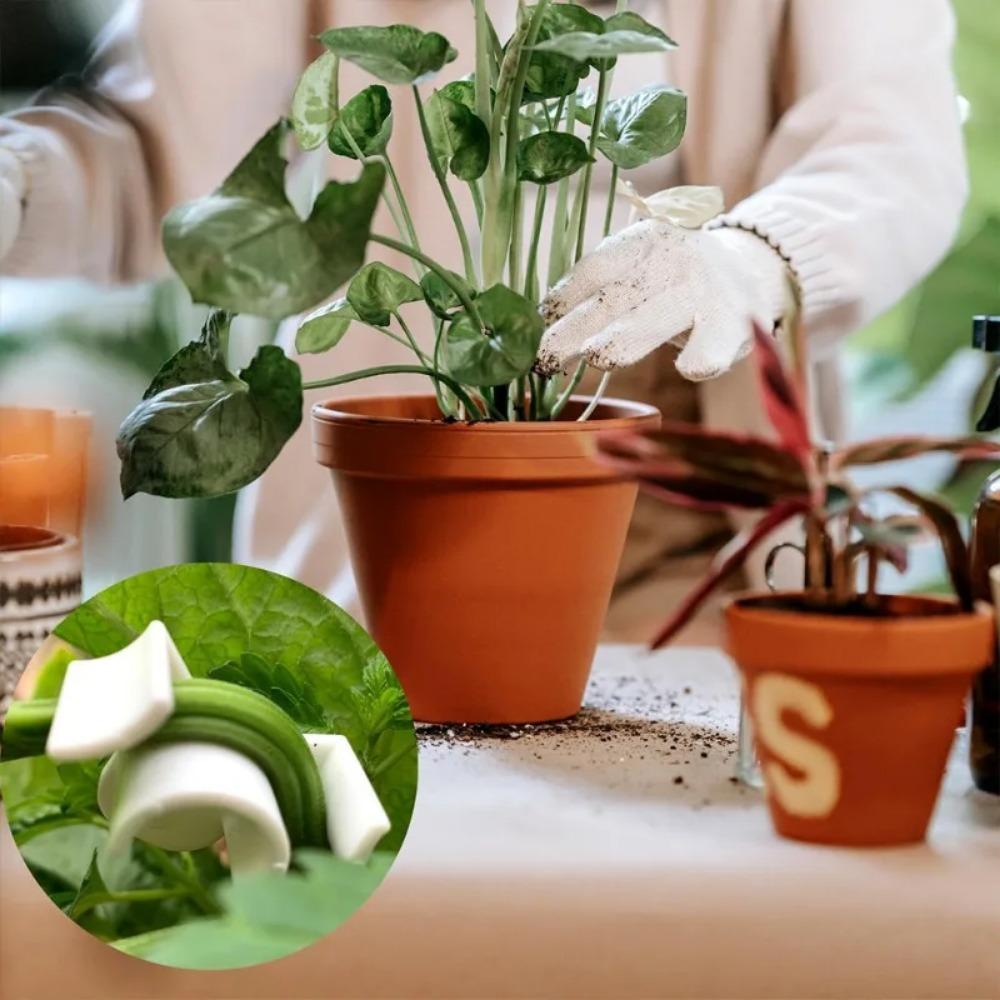 10-50 шт., 90 градусов, гибки растений, тренажер для манипулирования ростом, зажимы для растений, зажимы для гибки веток, аксессуары для веток