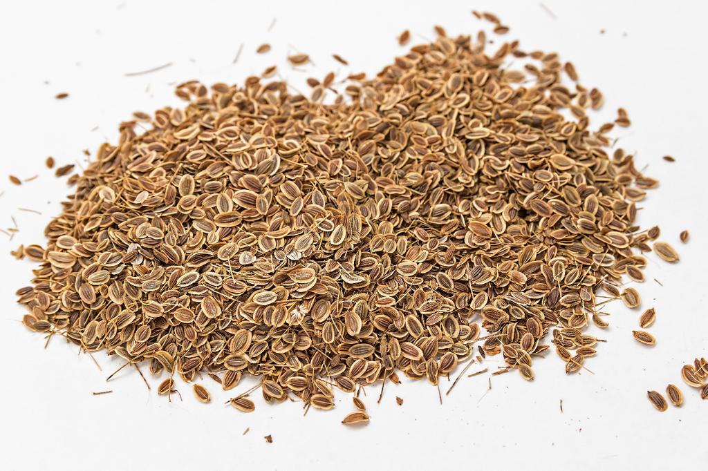 SAFLAX Garden in the Bag - Органическая - Петрушка с простыми листьями - 600 семян - С субстратом в подходящем стоячем пакете - Petroselinum Crispum