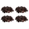 4x 30x Dried Lotus Decorative Seedpod Vase Bowl Filler Ornaments