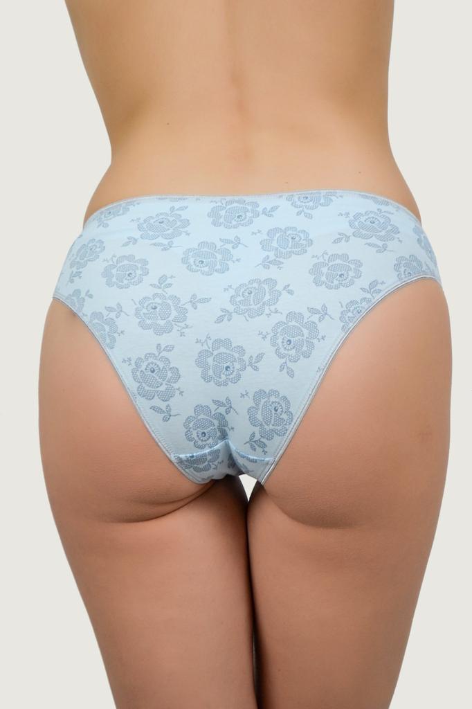 Roksana Slip Panties (86293)