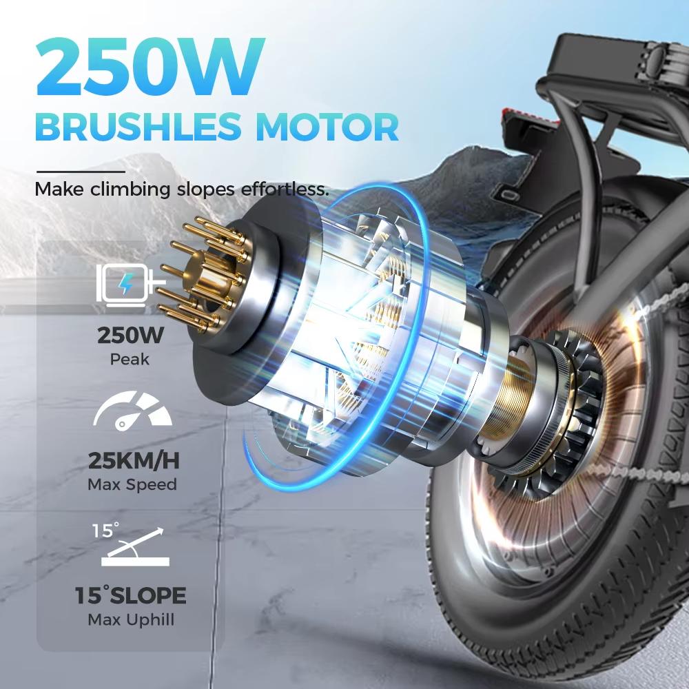 TOOFLY GS3 Folding Electric Bicycle 250W 48V15AH Adult Travel City Commuter Electric Bike 14*2.125 Inch Tire Mini E-bike