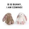 30cm Cute Rabbit Floral Ears Plush Toys Rabbit Stuffed Dolls Kawaii Room Decor Toy Soft Sofa Cushion Kids Birthday Gifts