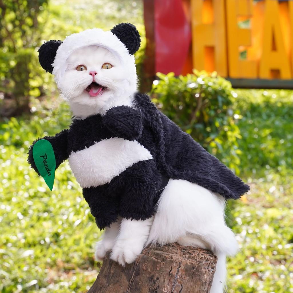 Одежда для домашних животных Panda Standing Transformation Weird Funny Teddy Bigbear Dog Cat Clothing