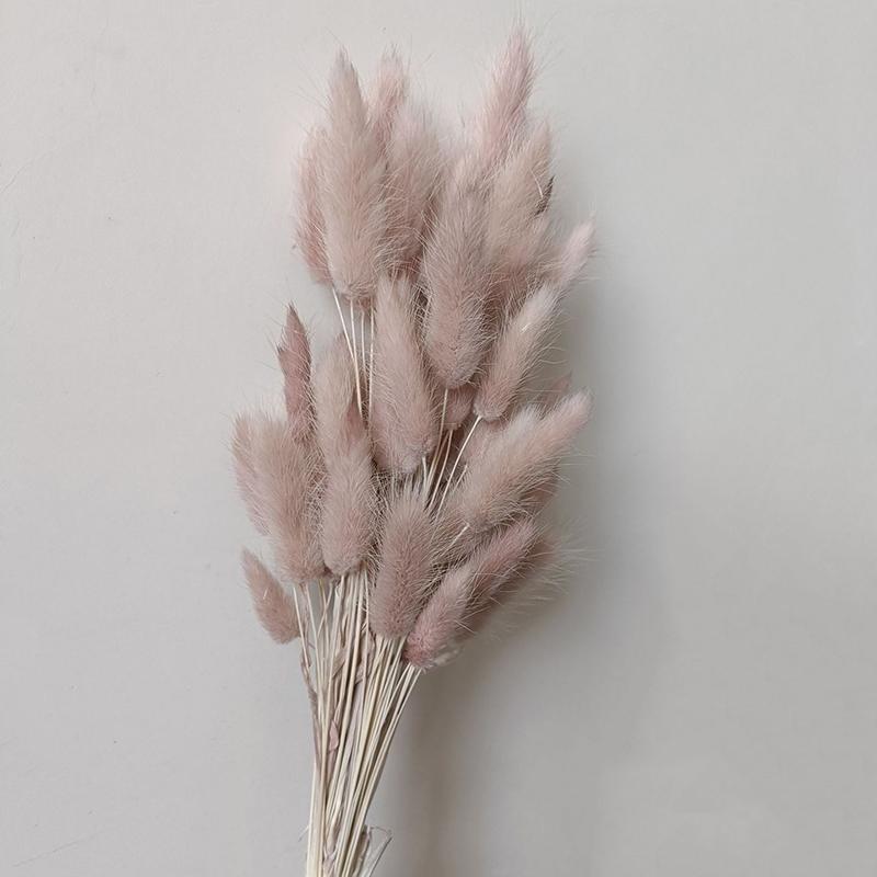 50 шт., букет из сухоцветов с изображением кролика и хвоста кролика, декор для свадебной вечеринки, пушистые пампасы, рождественская цветочная композиция своими руками