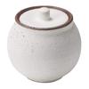 Hechimon Shigaraki Ware Absorbs Moisture and Controls Humidity and Keeps It Dry Salt Pot Small White Canister Pottery Storage Container Salt Shaker