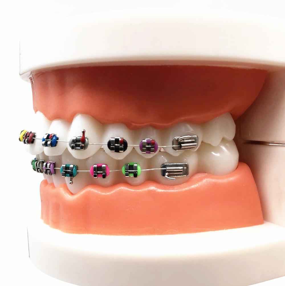 1 шт., стоматологическая модель для ухода за полостью рта, стоматологическая ортодонтическая модель для общения с пациентом, модель для исследования стоматолога