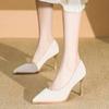 Fashion High Heels Women's 2025 Spring and Autumn New Metal Pointed Toe Fashion Shallow Single Shoes