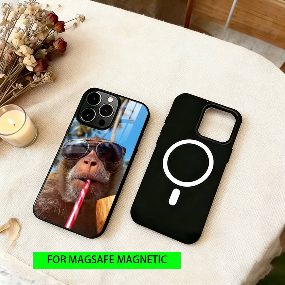 little monkey Phone Case For iPhone17,16,15,14,13,12,11 Plus,Pro Magnetic For Magsafe Wireless Charging